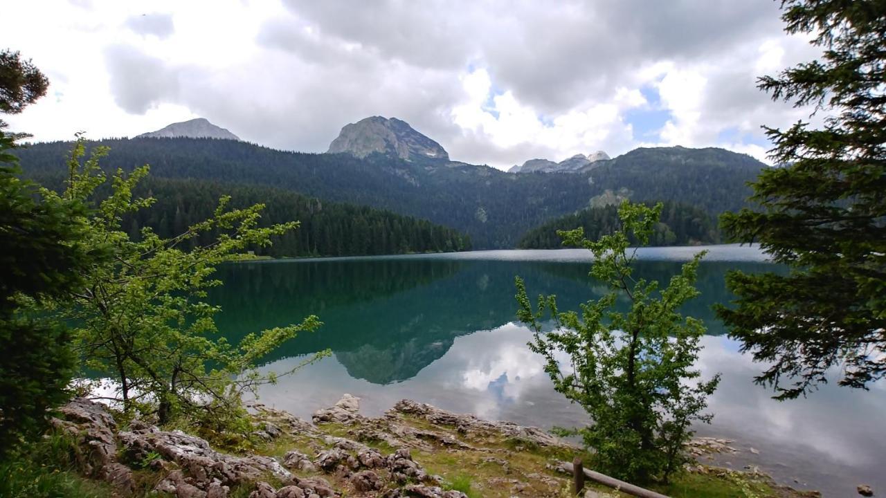 Villa High Haven Durmitor à Žabljak Extérieur photo