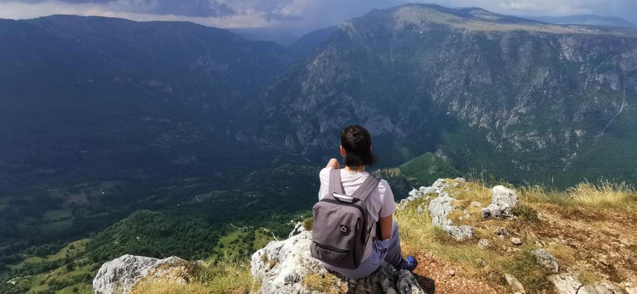 Villa High Haven Durmitor à Žabljak Extérieur photo