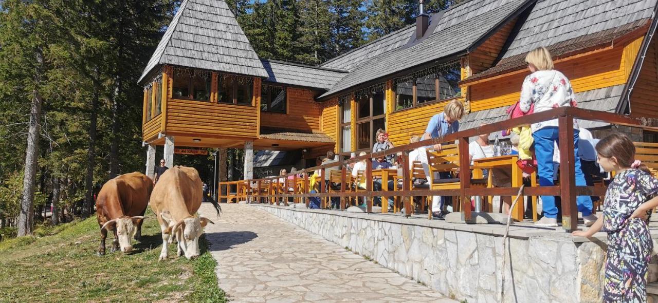 Villa High Haven Durmitor à Žabljak Extérieur photo
